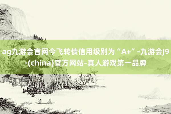 ag九游会官网今飞转债信用级别为“A+”-九游会J9·(china)官方网站-真人游戏第一品牌