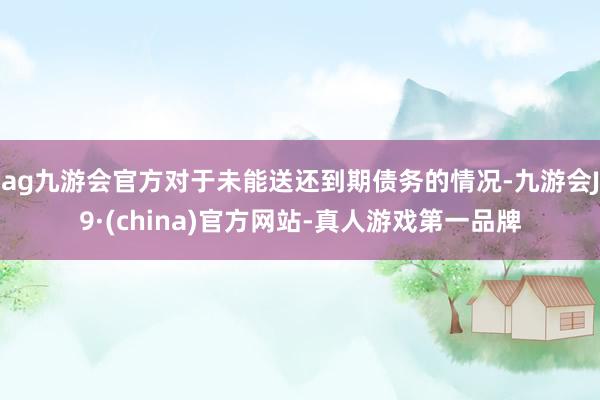 ag九游会官方对于未能送还到期债务的情况-九游会J9·(china)官方网站-真人游戏第一品牌