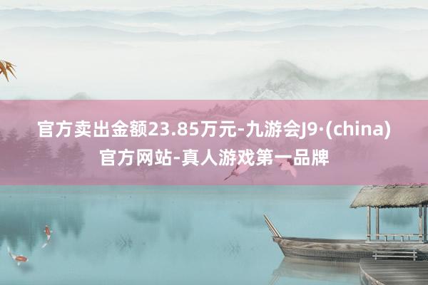 官方卖出金额23.85万元-九游会J9·(china)官方网站-真人游戏第一品牌