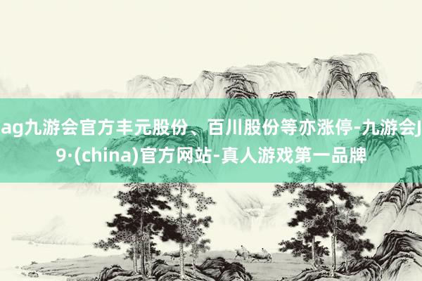 ag九游会官方丰元股份、百川股份等亦涨停-九游会J9·(china)官方网站-真人游戏第一品牌