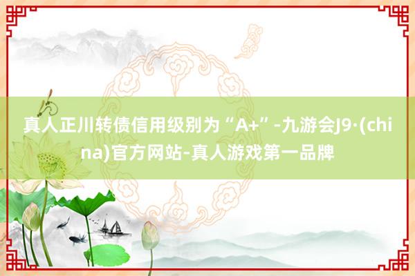 真人正川转债信用级别为“A+”-九游会J9·(china)官方网站-真人游戏第一品牌