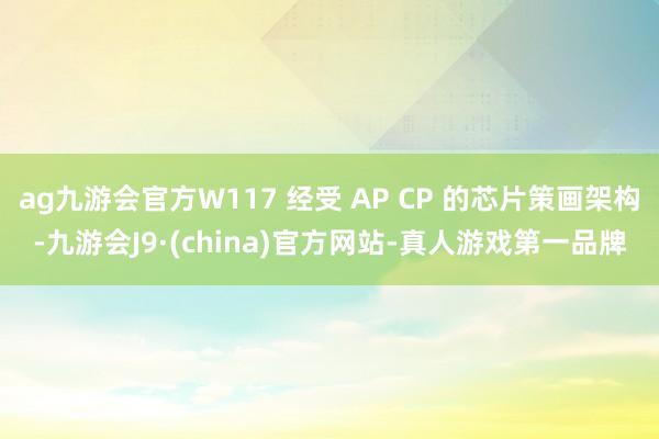 ag九游会官方W117 经受 AP CP 的芯片策画架构-九游会J9·(china)官方网站-真人游戏第一品牌