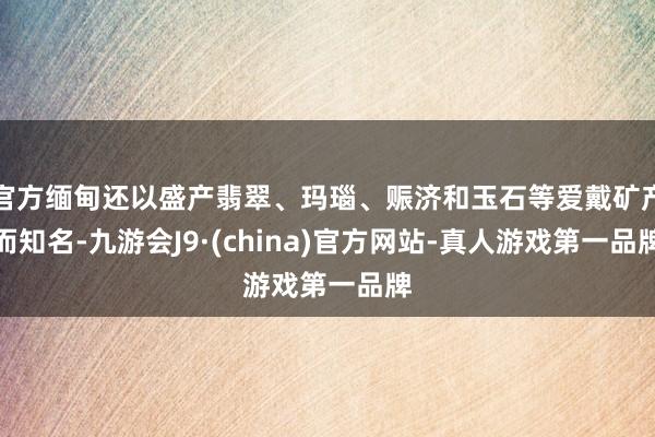 官方缅甸还以盛产翡翠、玛瑙、赈济和玉石等爱戴矿产而知名-九游会J9·(china)官方网站-真人游戏第一品牌