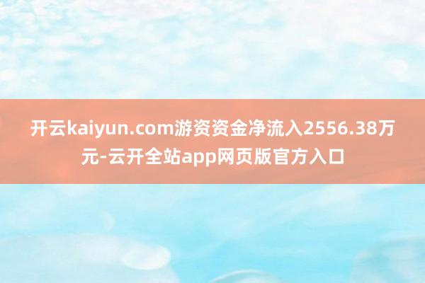 开云kaiyun.com游资资金净流入2556.38万元-云开全站app网页版官方入口