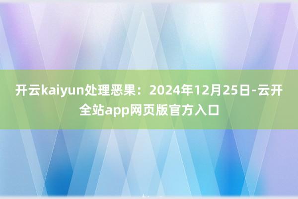 开云kaiyun处理恶果：2024年12月25日-云开全站app网页版官方入口